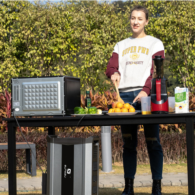Alto potere Mini Generator alimentato solare ricaricabile 4000W con l'uscita di CA